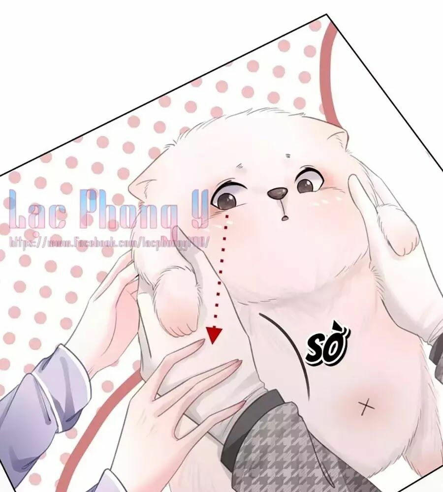 Ám Hắc Hệ Noãn Hôn: Chapter 4