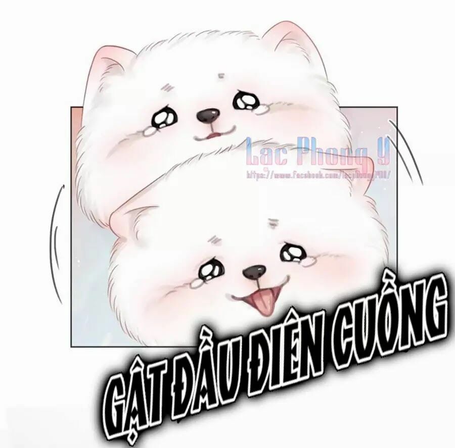 Ám Hắc Hệ Noãn Hôn: Chapter 4