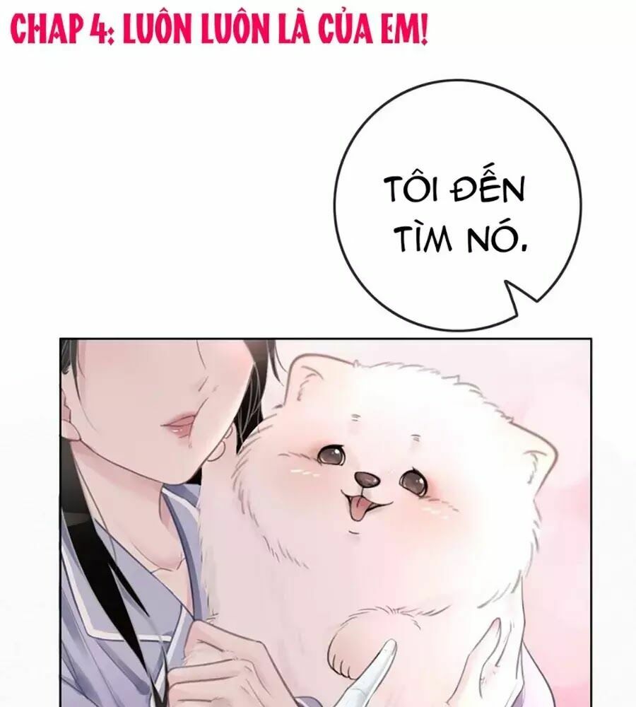 Ám Hắc Hệ Noãn Hôn: Chapter 4