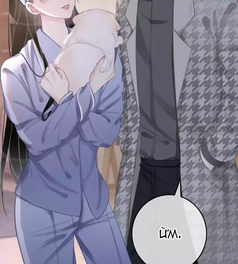 Ám Hắc Hệ Noãn Hôn: Chapter 4