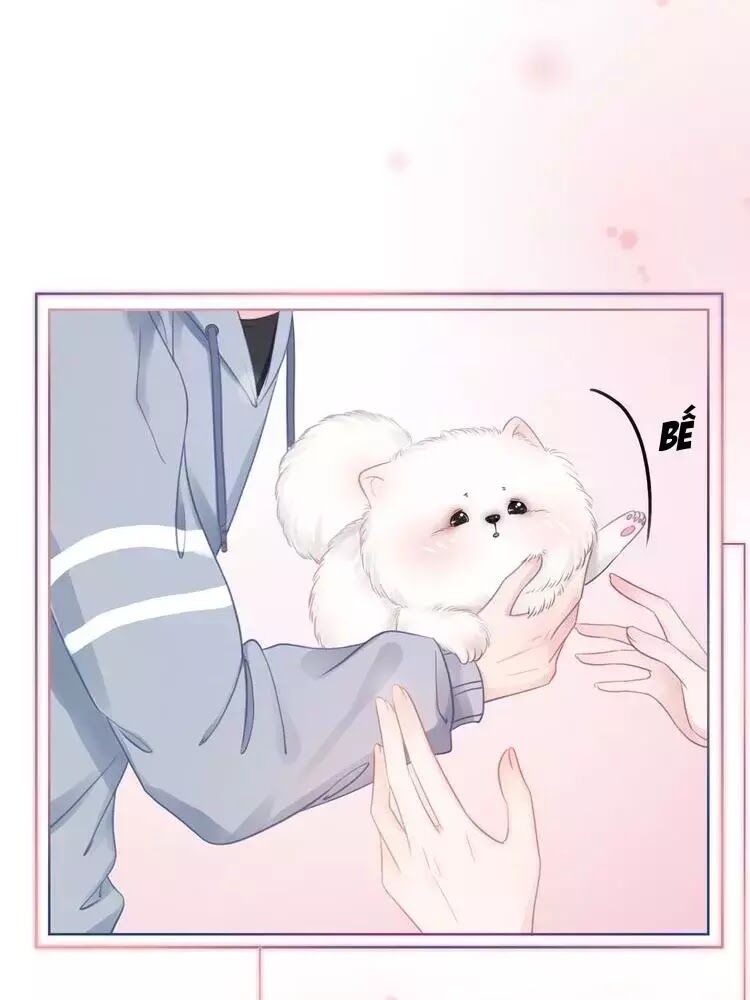 Ám Hắc Hệ Noãn Hôn: Chapter 8