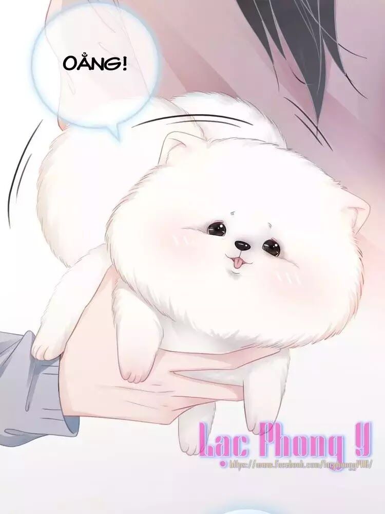 Ám Hắc Hệ Noãn Hôn: Chapter 8