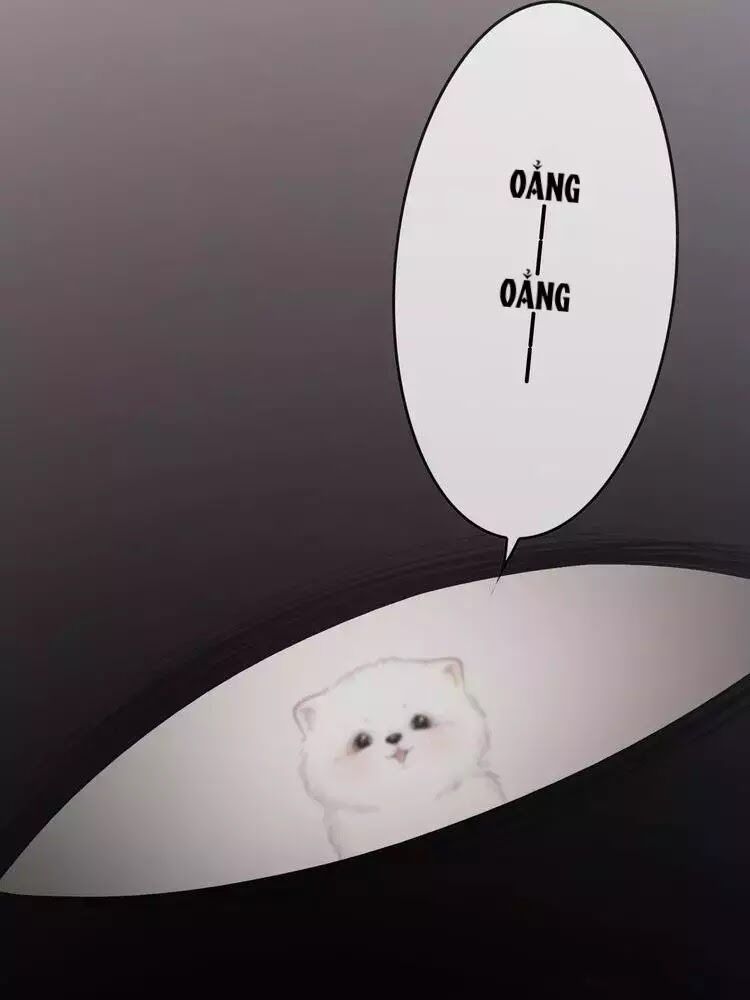 Ám Hắc Hệ Noãn Hôn: Chapter 8