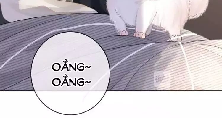 Ám Hắc Hệ Noãn Hôn: Chapter 8