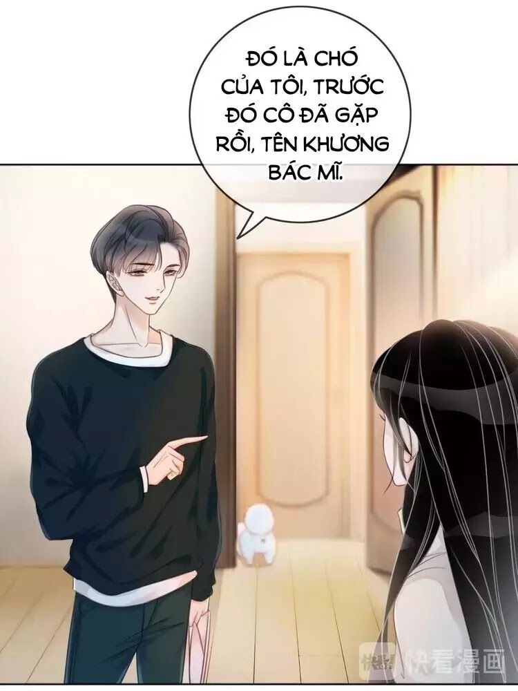 Ám Hắc Hệ Noãn Hôn: Chapter 8