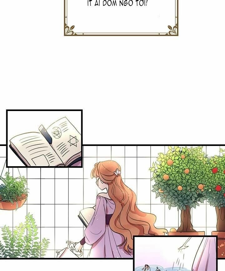 Công Tước, Loạn Vừa Thôi!: Chapter 11
