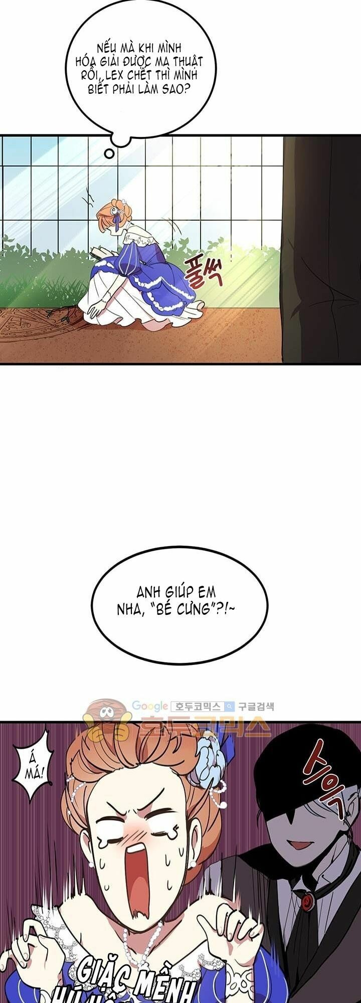 Công Tước, Loạn Vừa Thôi!: Chapter 11