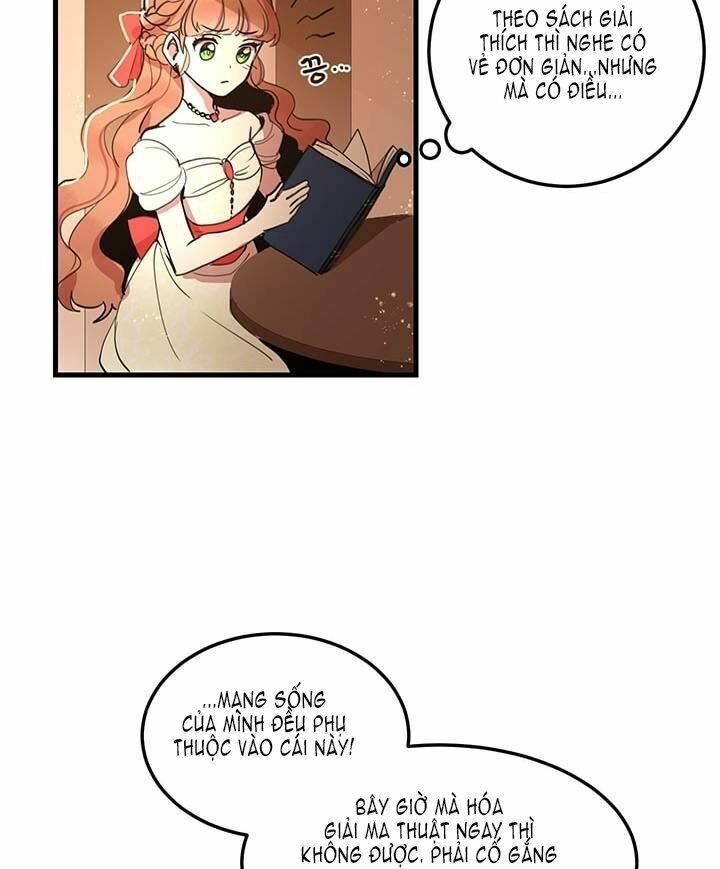 Công Tước, Loạn Vừa Thôi!: Chapter 11