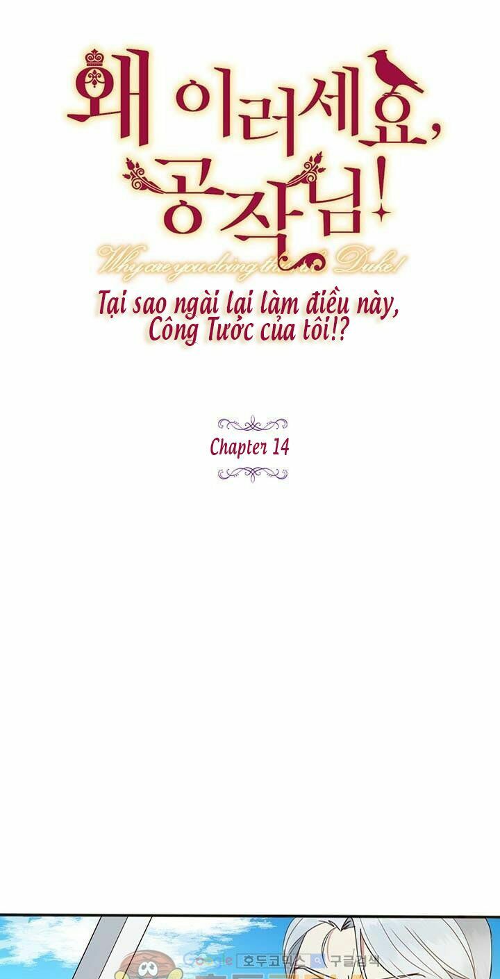 Công Tước, Loạn Vừa Thôi!: Chapter 14