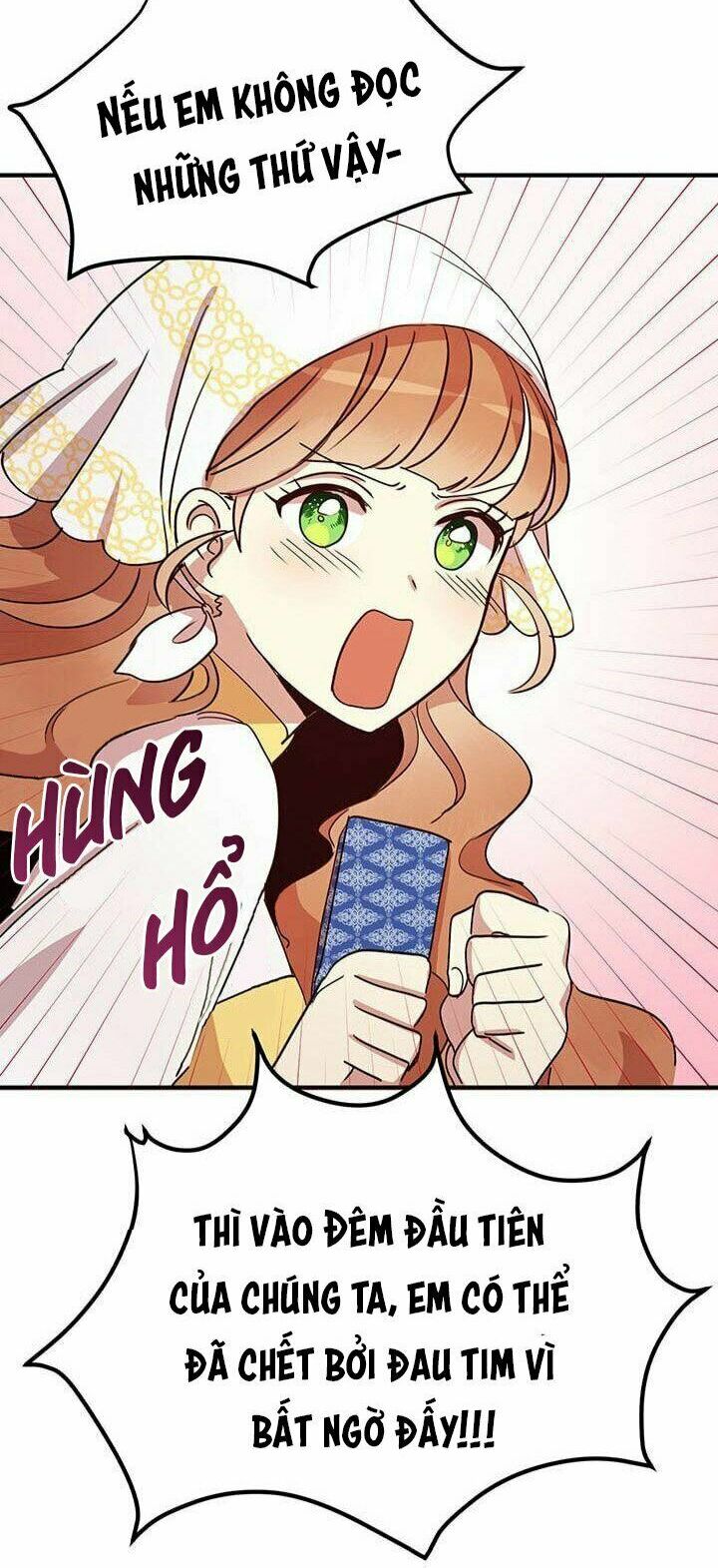 Công Tước, Loạn Vừa Thôi!: Chapter 25.2
