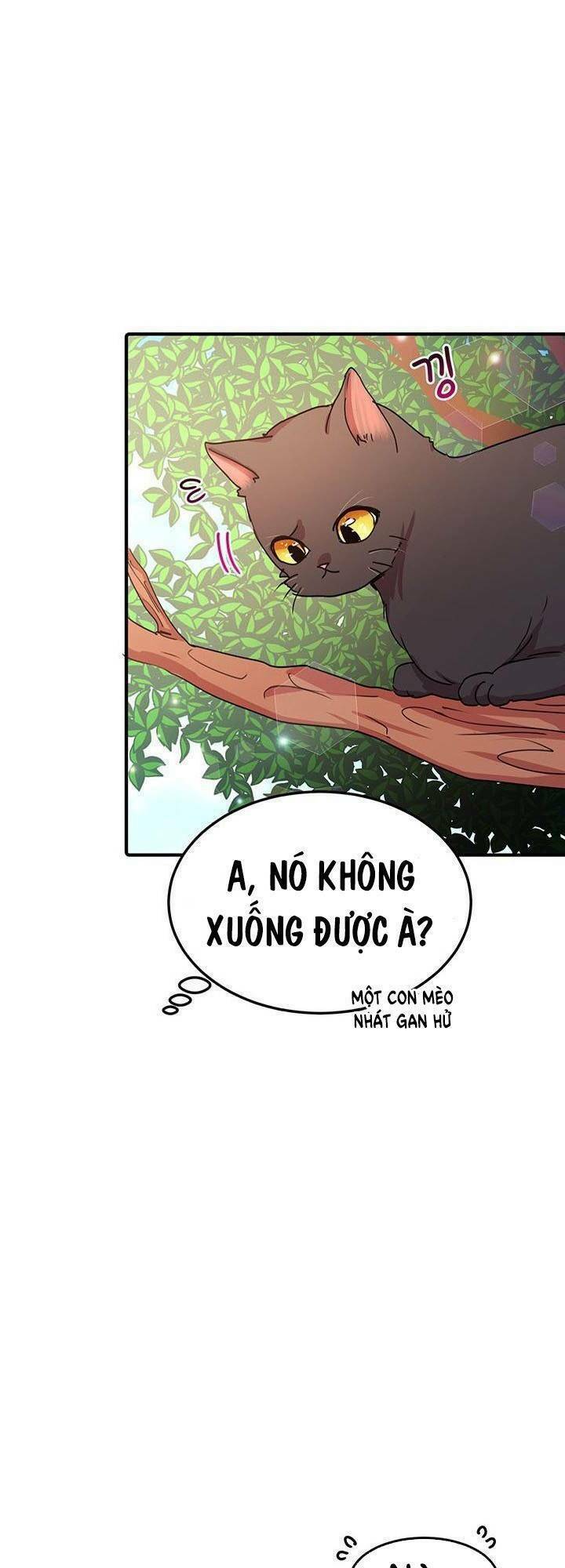 Công Tước, Loạn Vừa Thôi!: Chapter 43