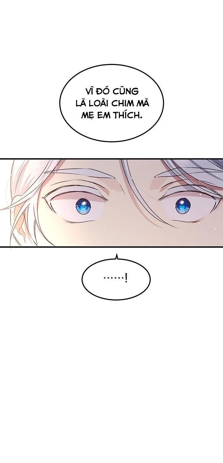 Công Tước, Loạn Vừa Thôi!: Chapter 98