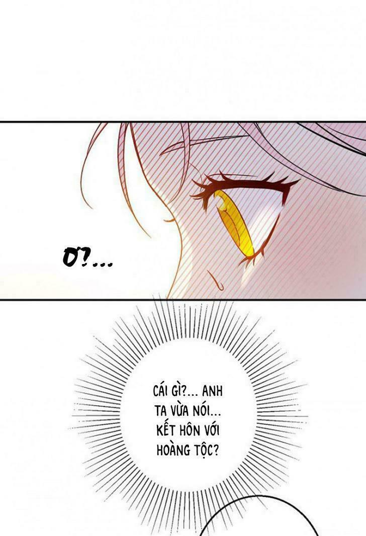 Cuộc Hôn Nhân Giả Dối: Chapter 2