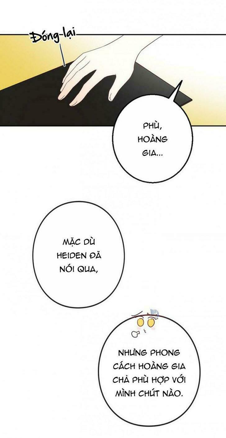 Cuộc Hôn Nhân Giả Dối: Chapter 2