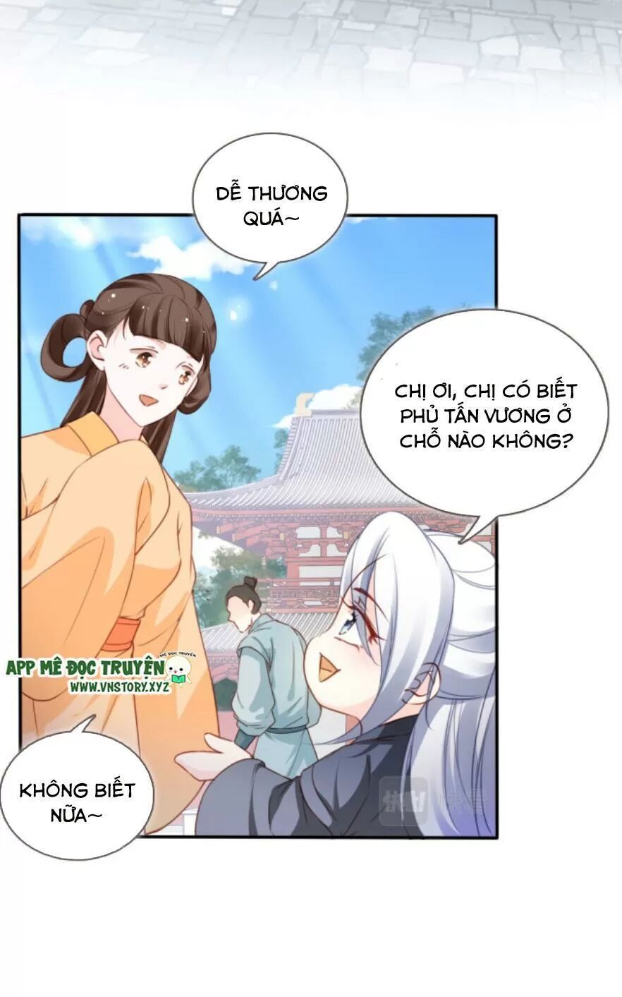 Nàng Trở Thành Bạch Nguyệt Quang Của Vương Gia Bệnh Kiều: Chapter 111: Con tin tự tìm đến cửa