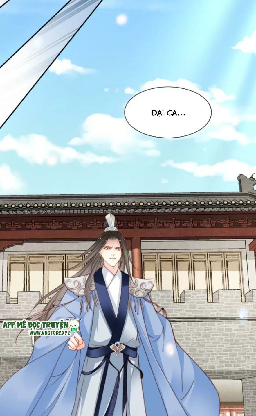 Nàng Trở Thành Bạch Nguyệt Quang Của Vương Gia Bệnh Kiều: Chapter 116: Đại kết cục