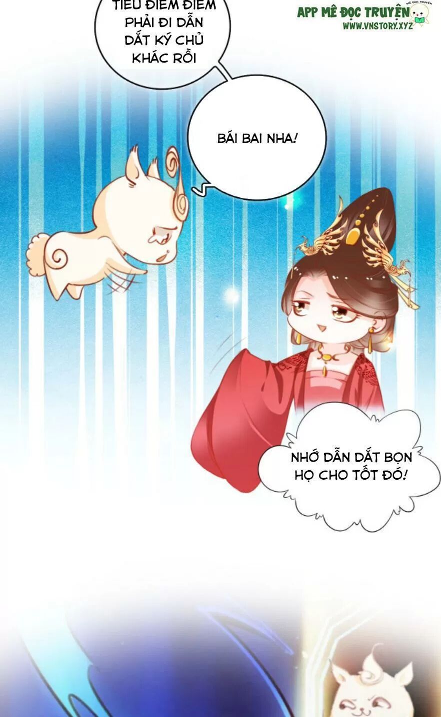 Nàng Trở Thành Bạch Nguyệt Quang Của Vương Gia Bệnh Kiều: Chapter 116: Đại kết cục