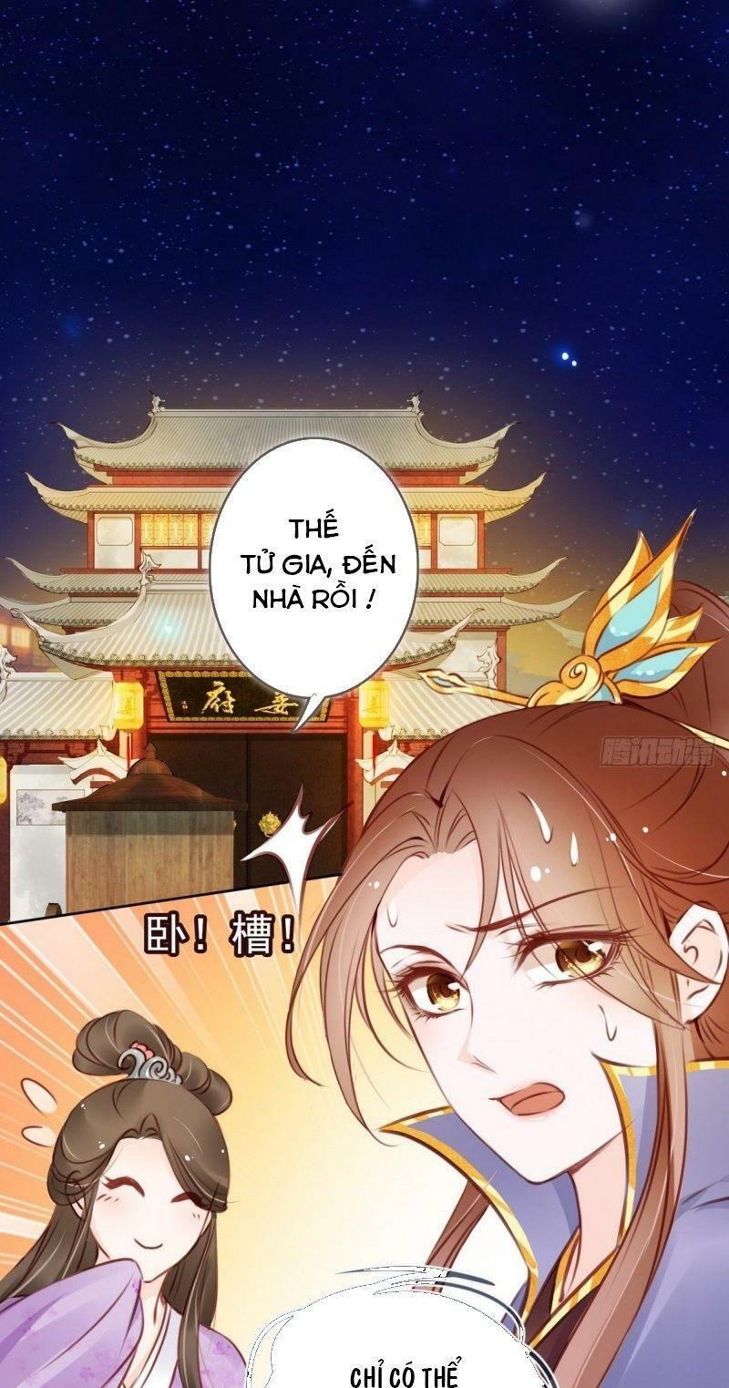 Nàng Trở Thành Bạch Nguyệt Quang Của Vương Gia Bệnh Kiều: Chapter 16: -17