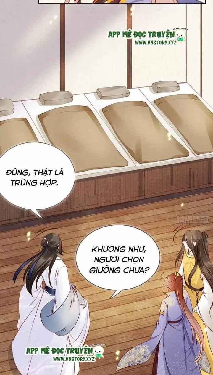 Nàng Trở Thành Bạch Nguyệt Quang Của Vương Gia Bệnh Kiều: Chapter 19: Ở ký túc xá mười người