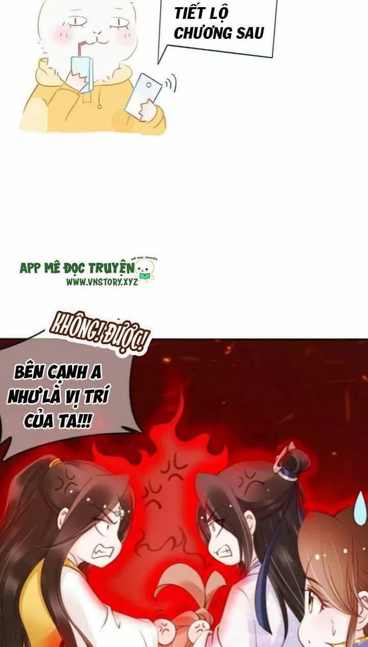 Nàng Trở Thành Bạch Nguyệt Quang Của Vương Gia Bệnh Kiều: Chapter 19: Ở ký túc xá mười người