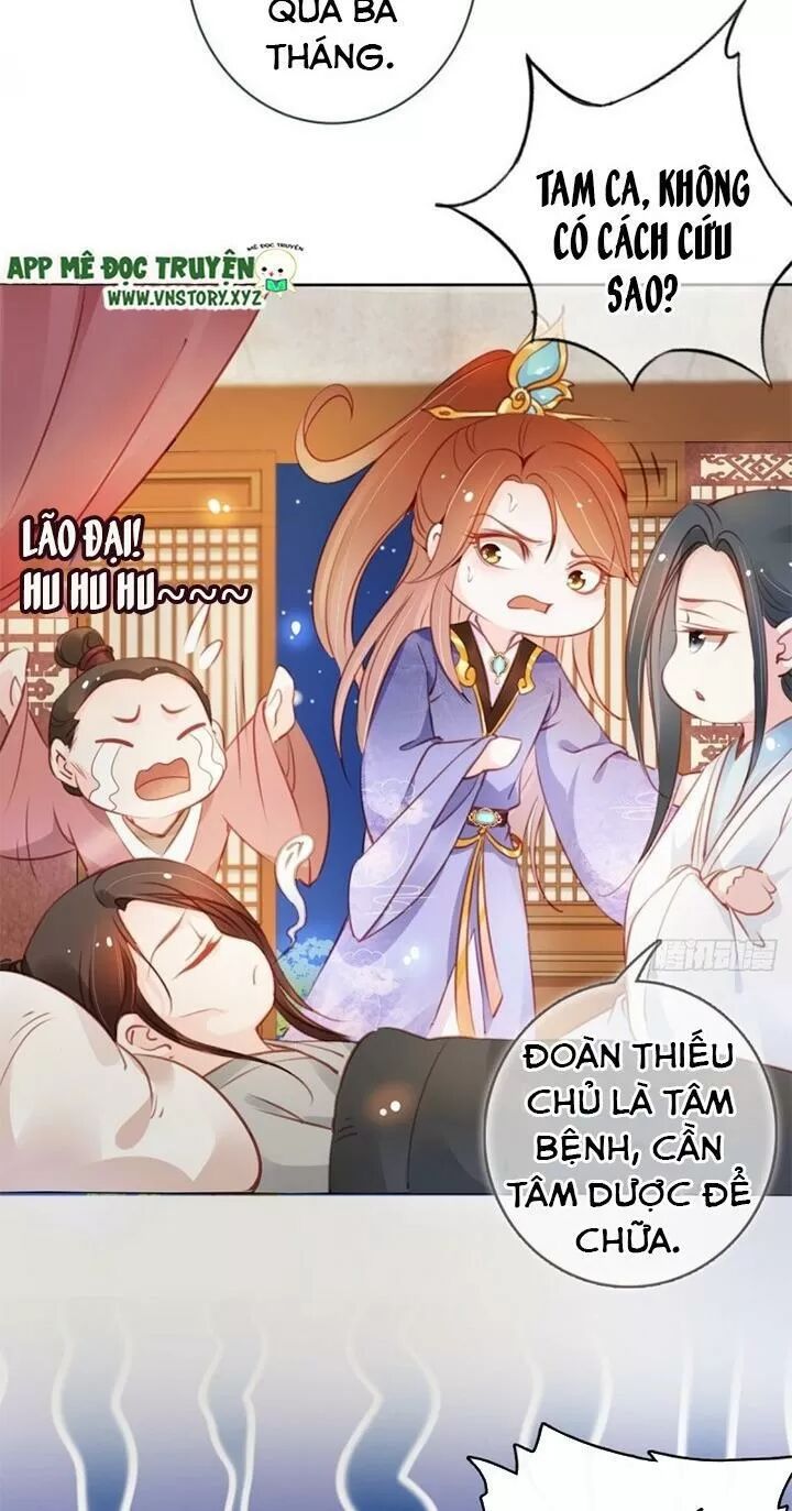 Nàng Trở Thành Bạch Nguyệt Quang Của Vương Gia Bệnh Kiều: Chapter 42: Cố ý chạy đến khinh bạc ngươi