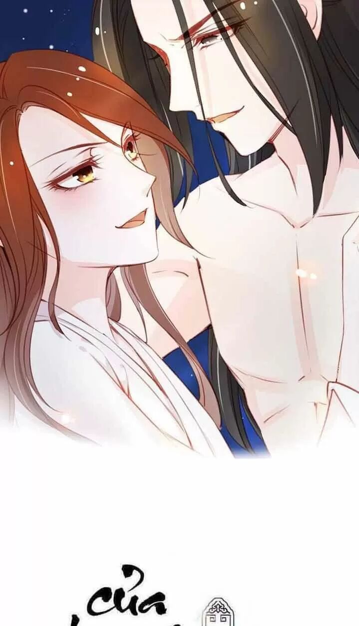 Nàng Trở Thành Bạch Nguyệt Quang Của Vương Gia Bệnh Kiều: Chapter 46: Hắn chỉ có một tiểu đoạn tụ