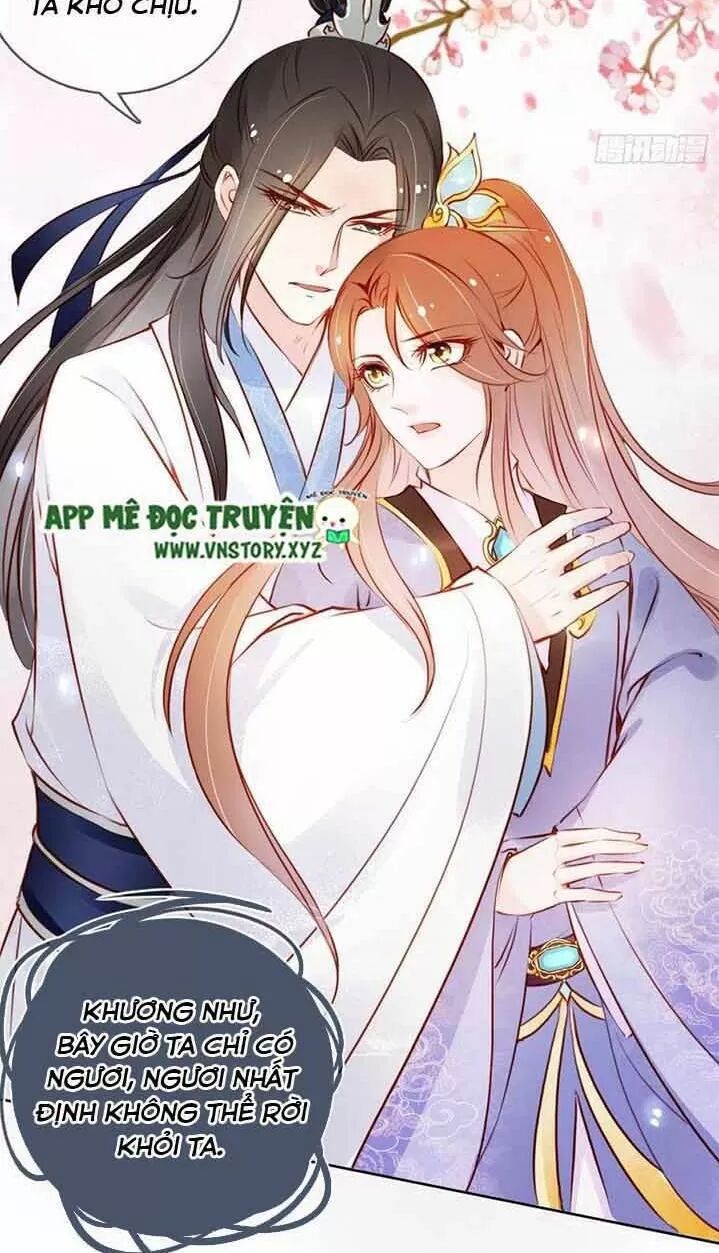 Nàng Trở Thành Bạch Nguyệt Quang Của Vương Gia Bệnh Kiều: Chapter 46: Hắn chỉ có một tiểu đoạn tụ