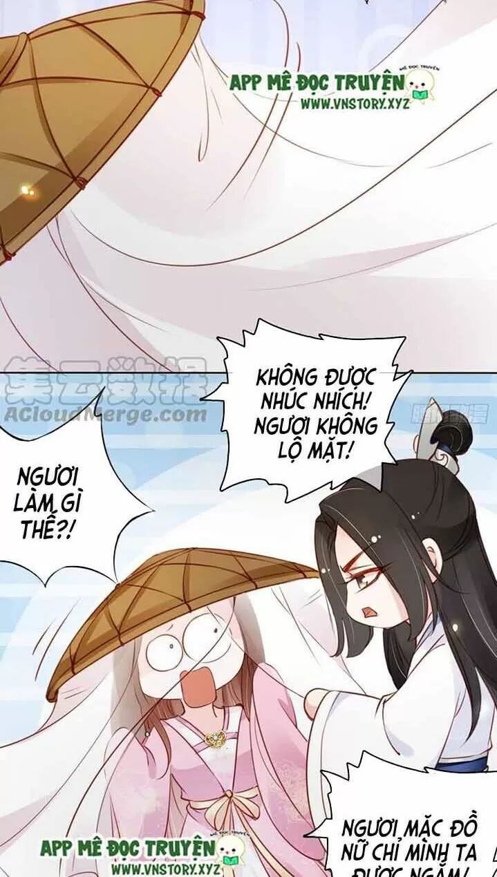 Nàng Trở Thành Bạch Nguyệt Quang Của Vương Gia Bệnh Kiều: Chapter 48: Chỉ mình ta được ngắm