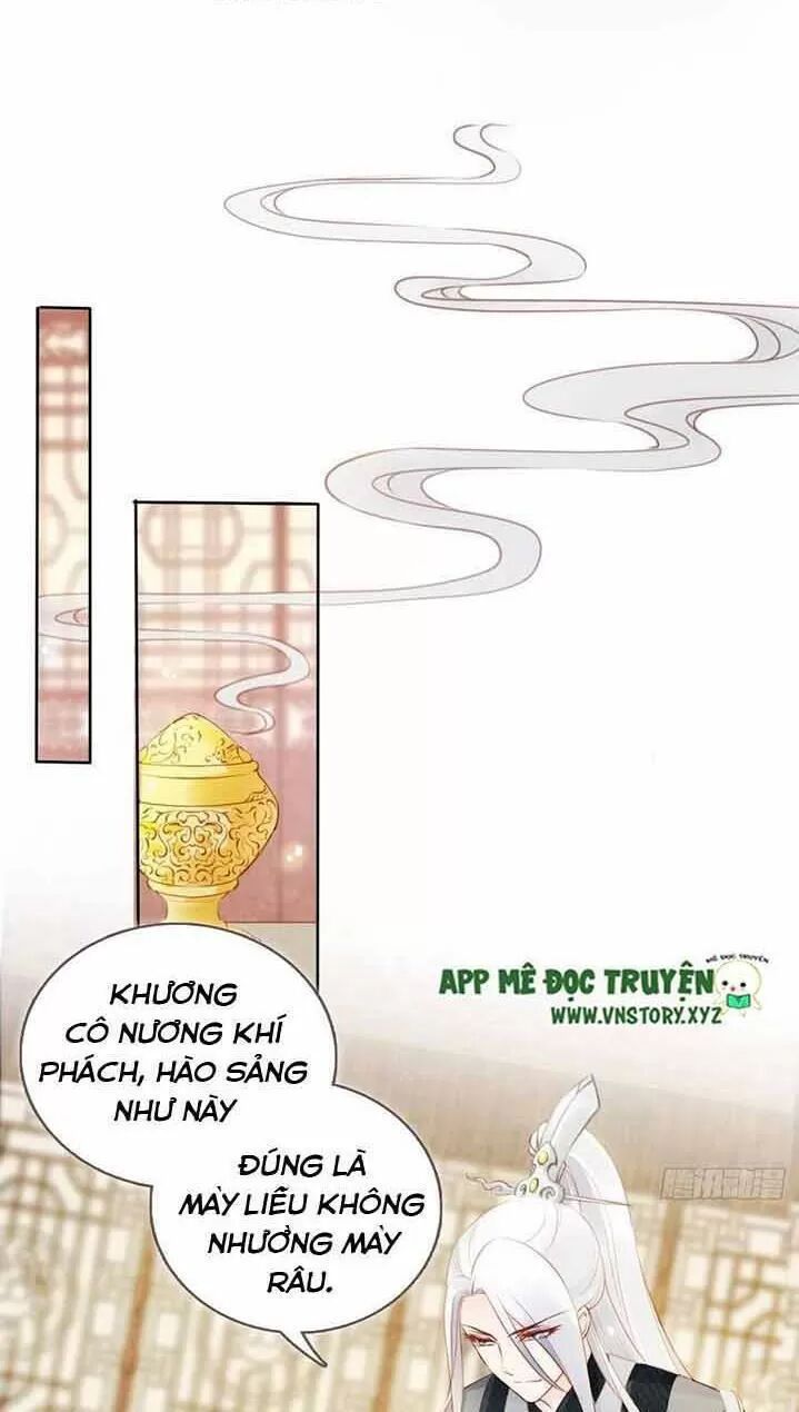 Nàng Trở Thành Bạch Nguyệt Quang Của Vương Gia Bệnh Kiều: Chapter 49: Hắn chính là sát thủ biến thái