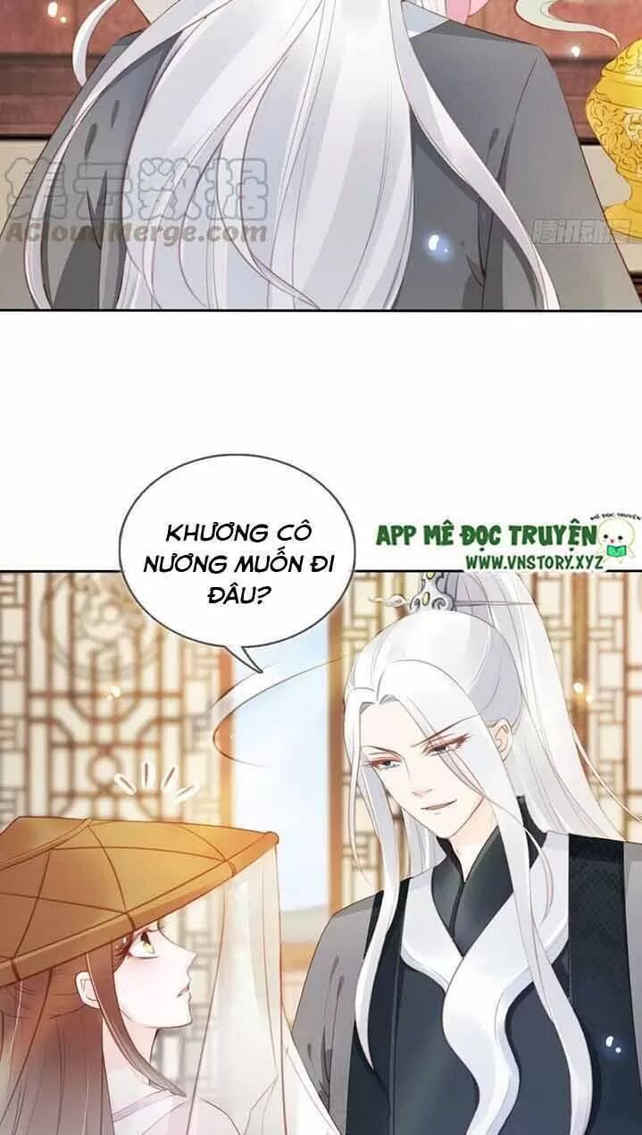 Nàng Trở Thành Bạch Nguyệt Quang Của Vương Gia Bệnh Kiều: Chapter 49: Hắn chính là sát thủ biến thái