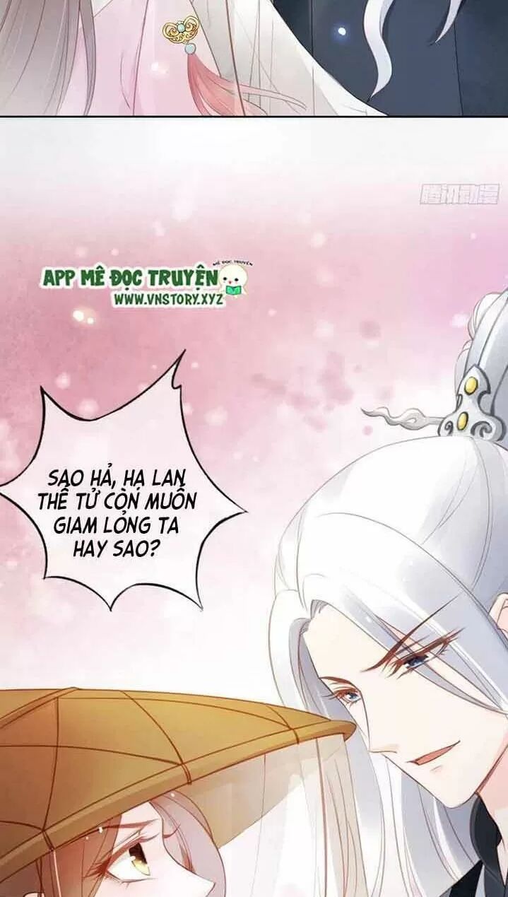 Nàng Trở Thành Bạch Nguyệt Quang Của Vương Gia Bệnh Kiều: Chapter 49: Hắn chính là sát thủ biến thái