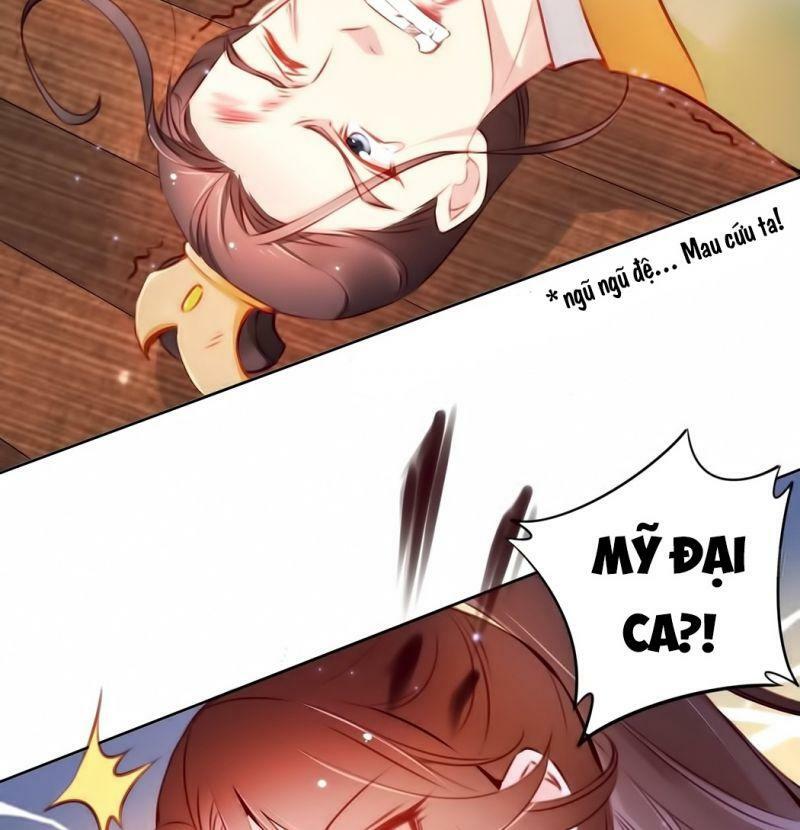 Nàng Trở Thành Bạch Nguyệt Quang Của Vương Gia Bệnh Kiều: Chapter 6