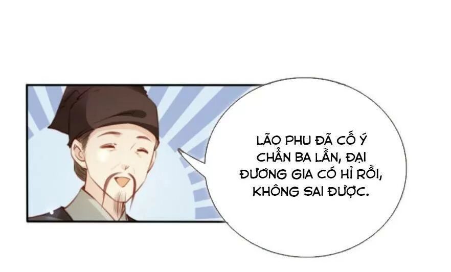 Nàng Trở Thành Bạch Nguyệt Quang Của Vương Gia Bệnh Kiều: Chapter 94: Đại đương gia có hỉ rồi!