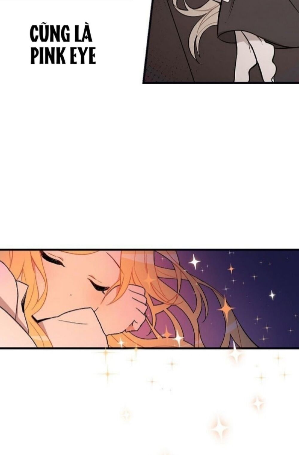 Tôi Là Con Gái Của Gia Đình Này!: Chapter 1