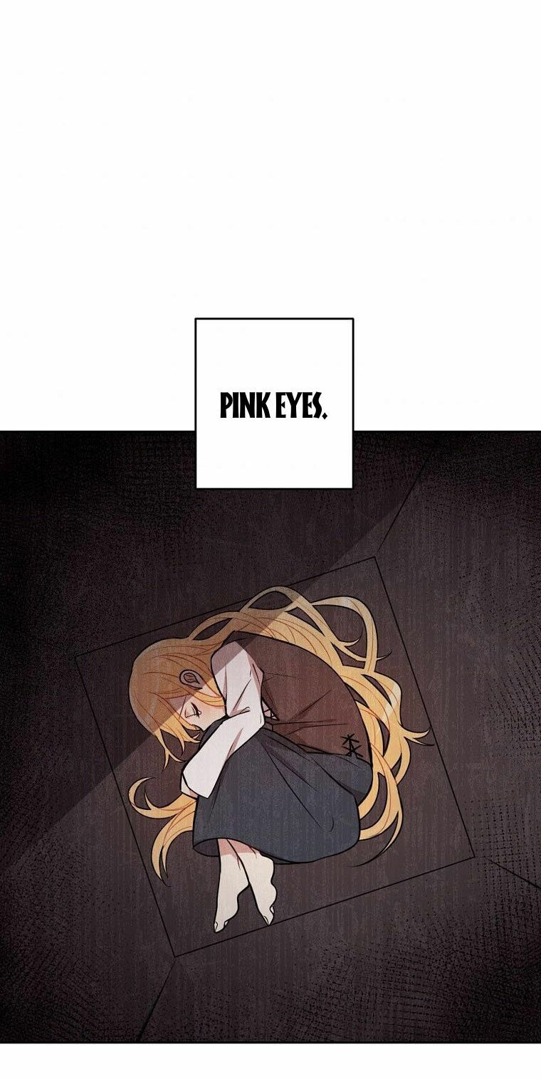Tôi Là Con Gái Của Gia Đình Này!: Chapter 133