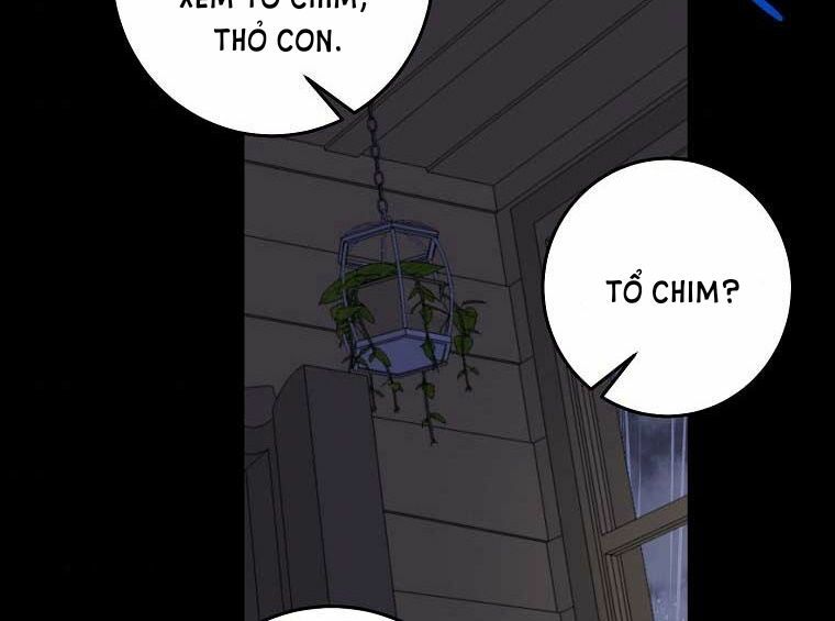 Tôi Là Con Gái Của Gia Đình Này!: Chapter 145