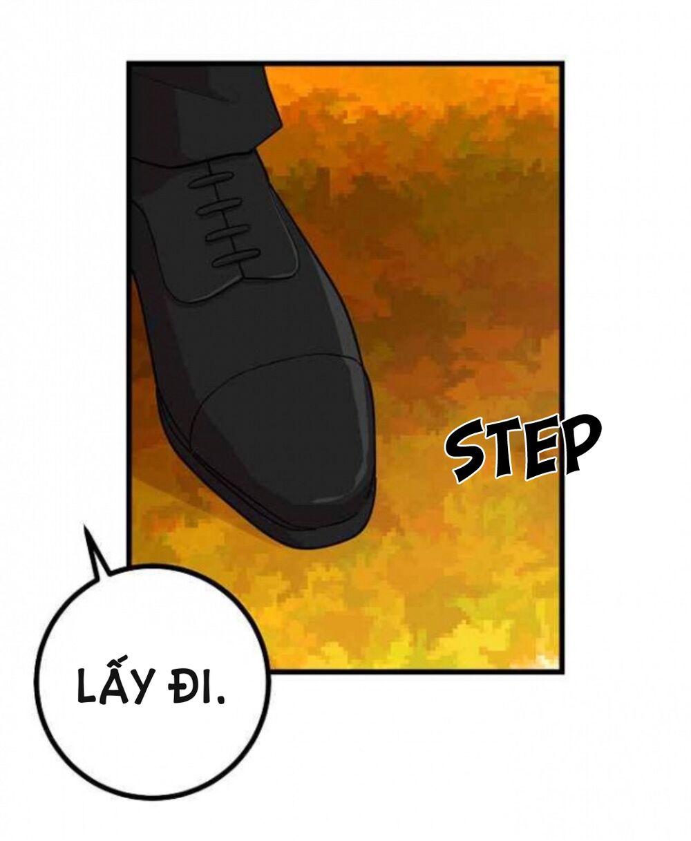 Tôi Là Con Gái Của Gia Đình Này!: Chapter 37
