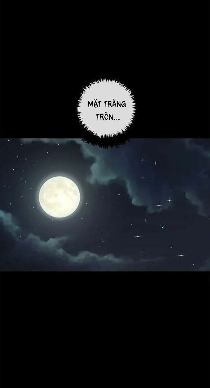 Tôi Là Con Gái Của Gia Đình Này!: Chapter 93