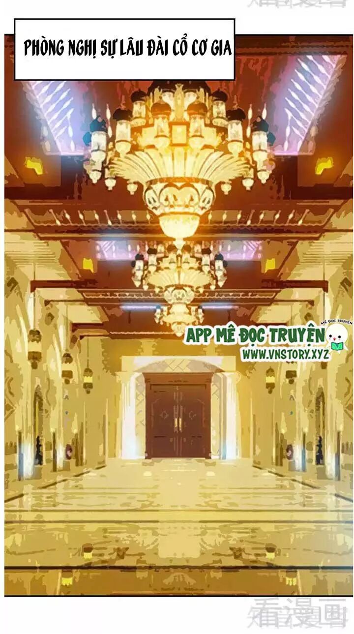 Đế Thiếu Chuyên Sủng Hắc Đạo Thê: Chapter 104: Hội nghị trưởng lão
