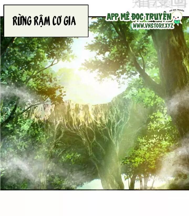 Đế Thiếu Chuyên Sủng Hắc Đạo Thê: Chapter 107: Lọt giữa trùng cây