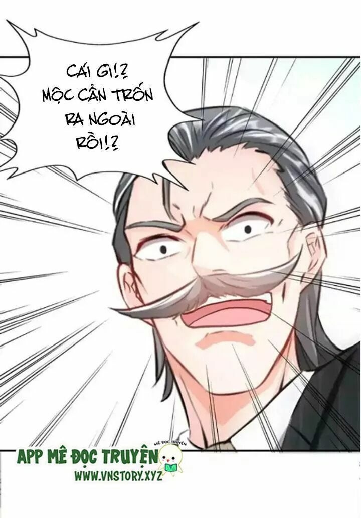 Đế Thiếu Chuyên Sủng Hắc Đạo Thê: Chapter 13