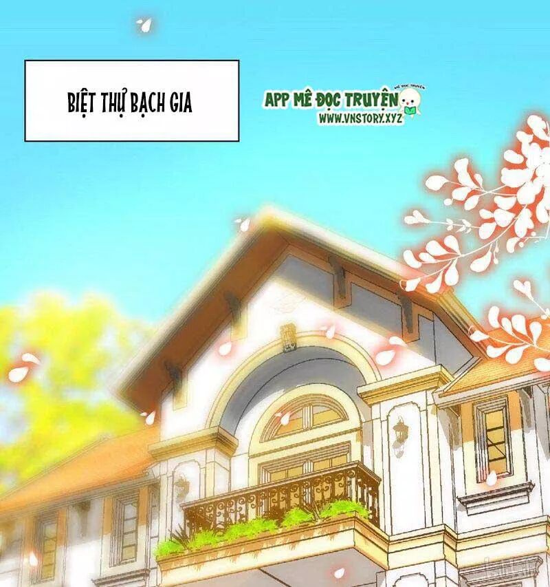 Đế Thiếu Chuyên Sủng Hắc Đạo Thê: Chapter 161: Cạm bẫy của Bạch Gia