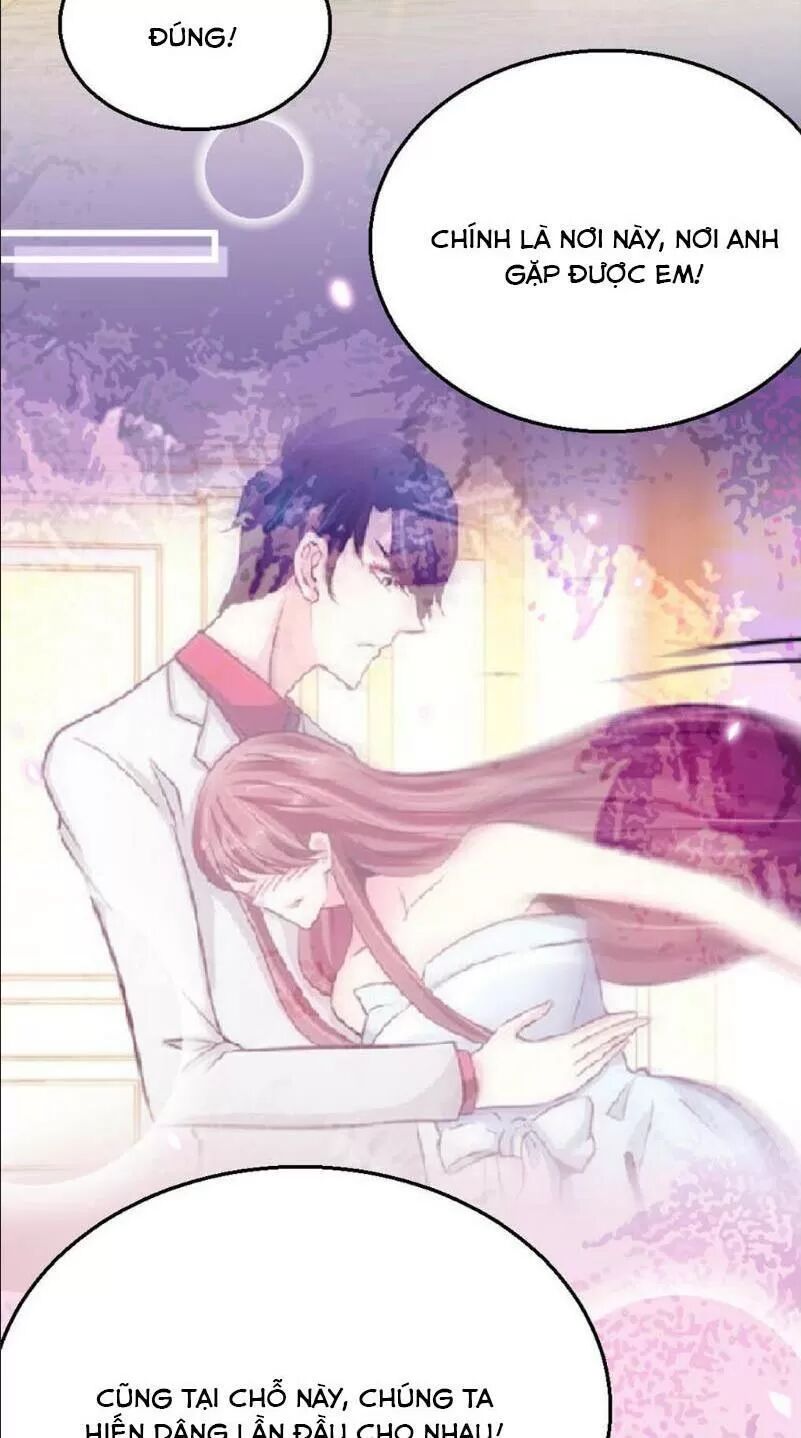 Đế Thiếu Chuyên Sủng Hắc Đạo Thê: Chapter 257: Quay về chốn cũ