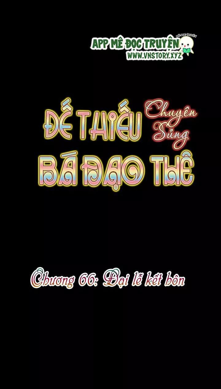 Đế Thiếu Chuyên Sủng Hắc Đạo Thê: Chapter 66: Đại lễ kết hôn