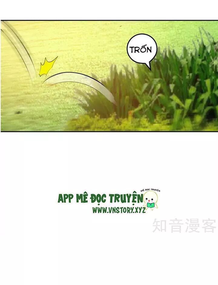Đế Thiếu Chuyên Sủng Hắc Đạo Thê: Chapter 74: Thích sát Mộc Cẩn
