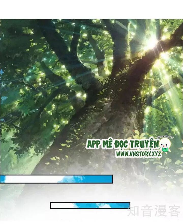 Đế Thiếu Chuyên Sủng Hắc Đạo Thê: Chapter 74: Thích sát Mộc Cẩn