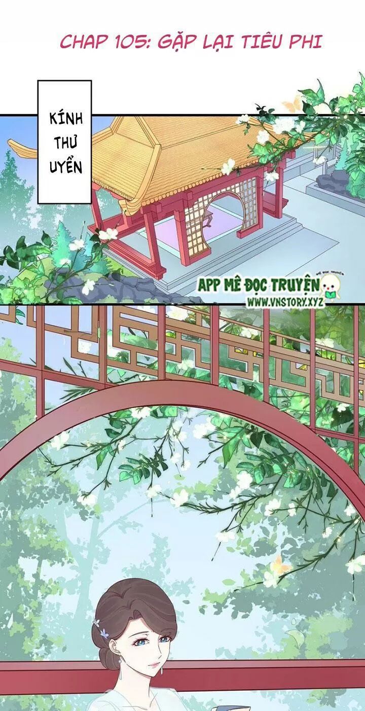 Hoàng Hậu Bận Lắm: Chapter 105: Gặp lại tiêu phi