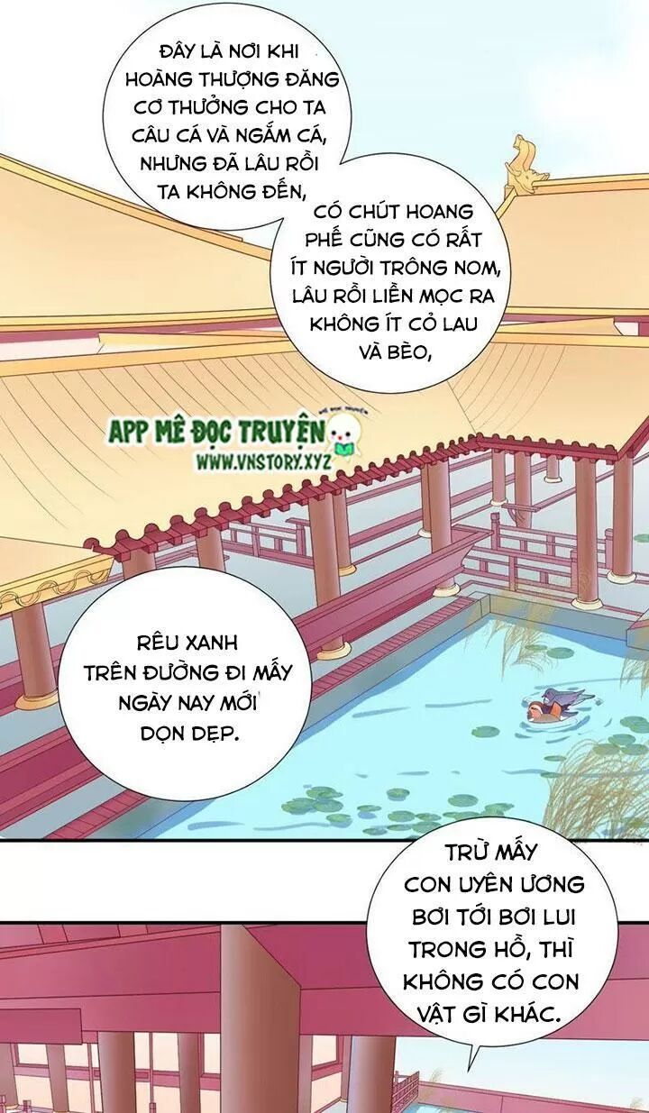 Hoàng Hậu Bận Lắm: Chapter 105: Gặp lại tiêu phi