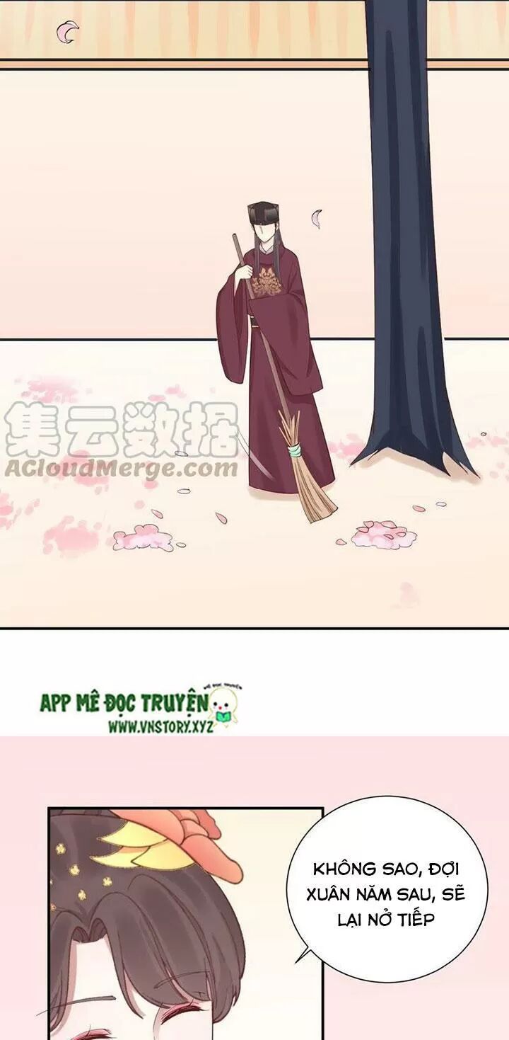 Hoàng Hậu Bận Lắm: Chapter 115: Hoa đào rơi cô đơn
