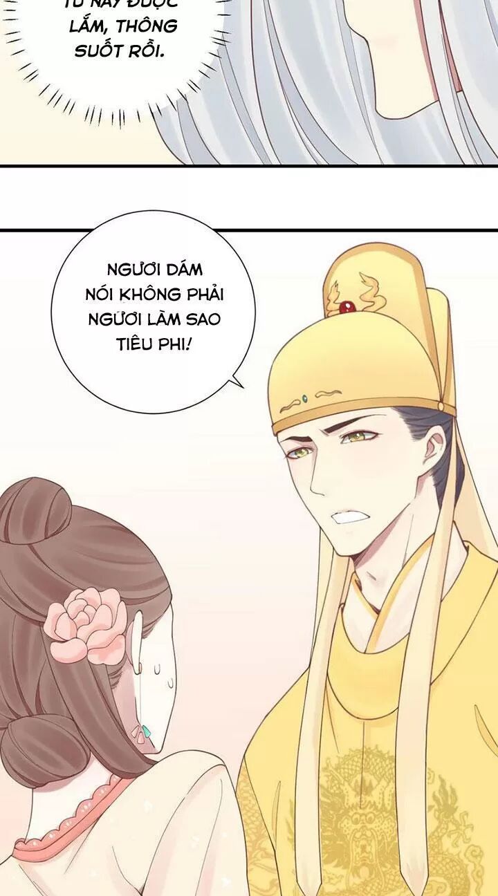 Hoàng Hậu Bận Lắm: Chapter 134: Phản kích của hoàng đế